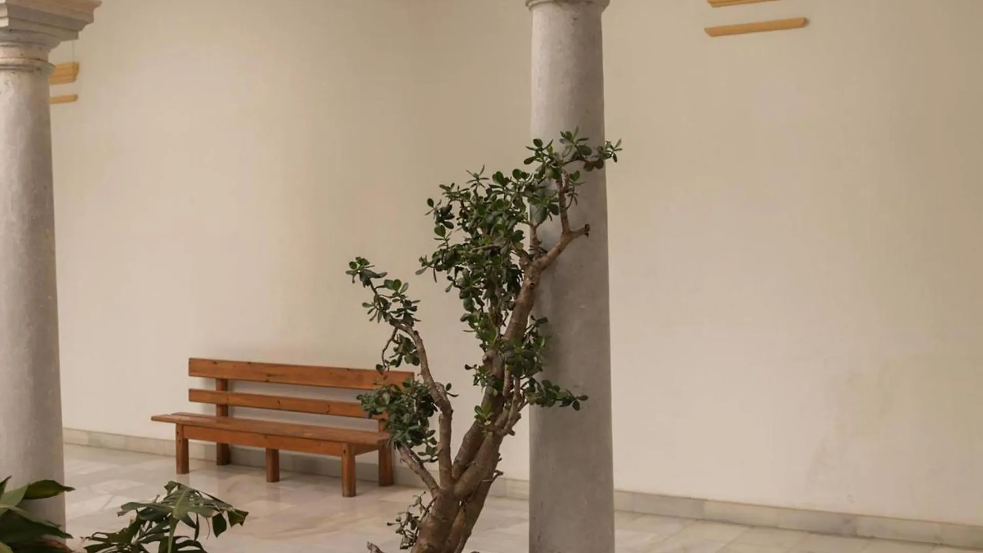 Anda La Luz Micaela Aramburu 30 Apartment El Puerto de Santa Maria Spain
